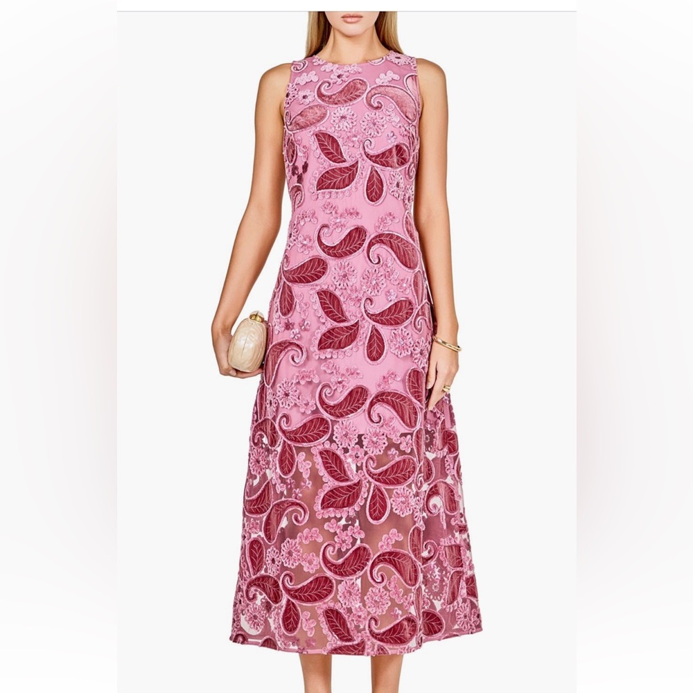 Endless Rose sleeveless lace A-line dress